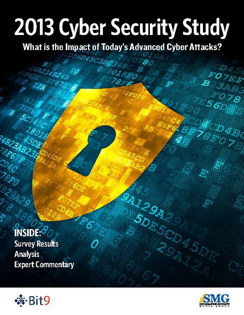 2013 Cyber Security Study